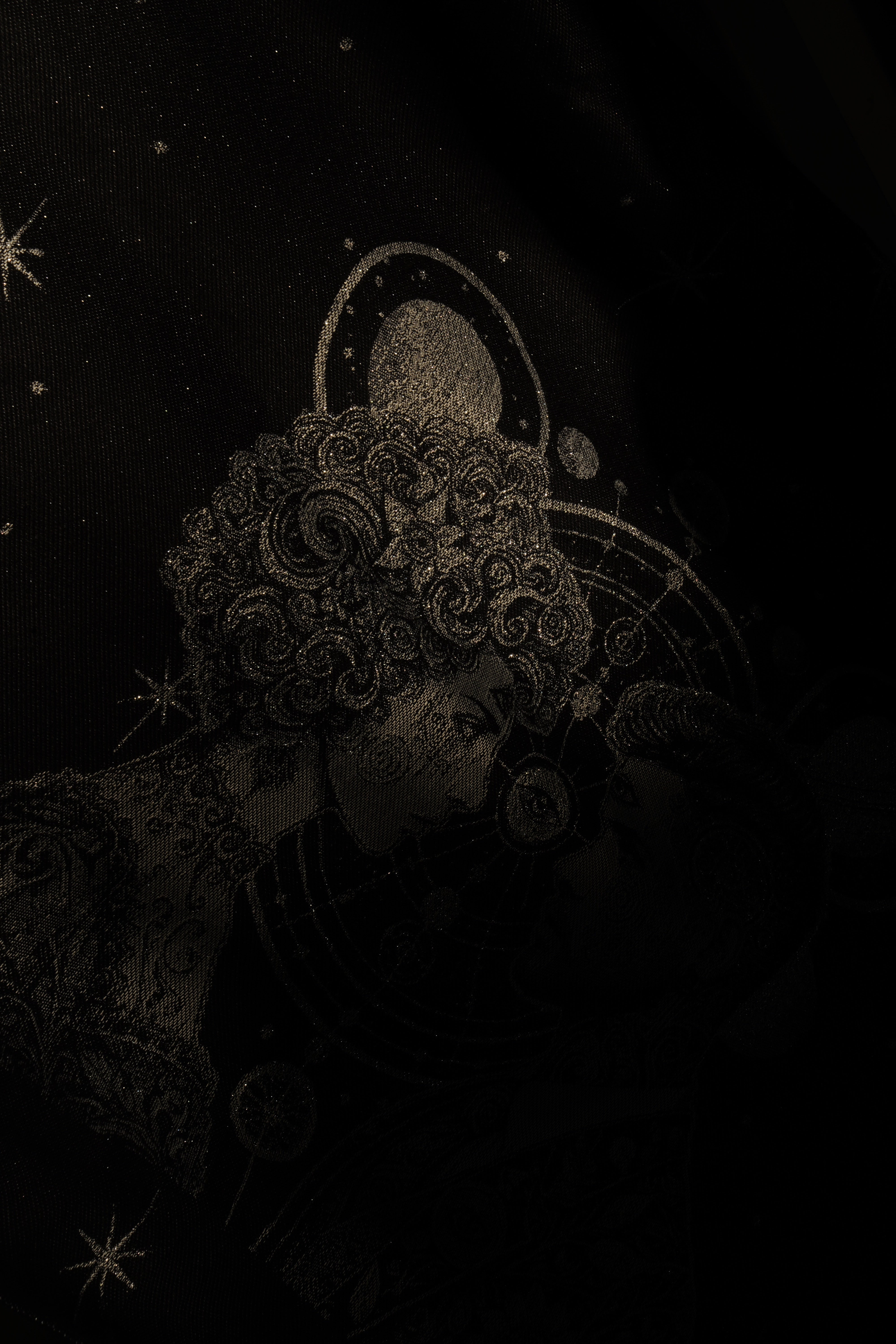 Babytrage Flip Vega & Altair